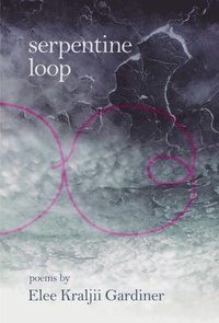 bokomslag Serpentine Loop