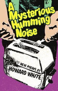 bokomslag A Mysterious Humming Noise