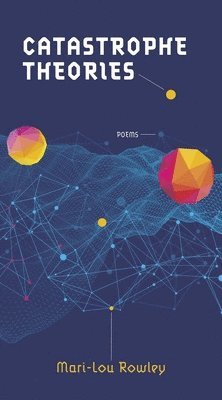 bokomslag Catastrophe Theories