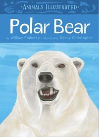 bokomslag Animals Illustrated: Polar Bear