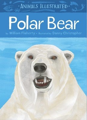 Animals Illustrated: Polar Bear 1