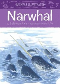 bokomslag Animals Illustrated: Narwhal
