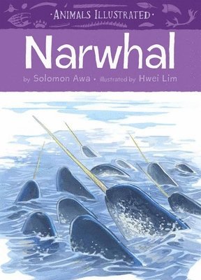 Animals Illustrated: Narwhal 1
