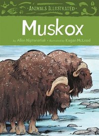 bokomslag Animals Illustrated: Muskox