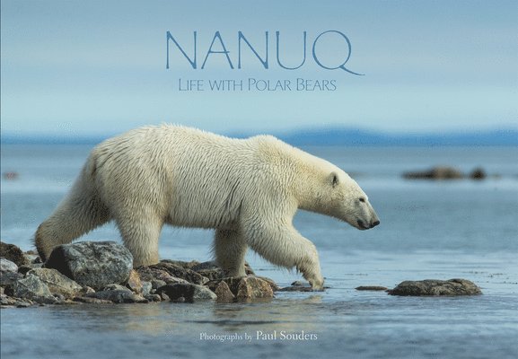 Nanuq: Life with Polar Bears, Inbunden