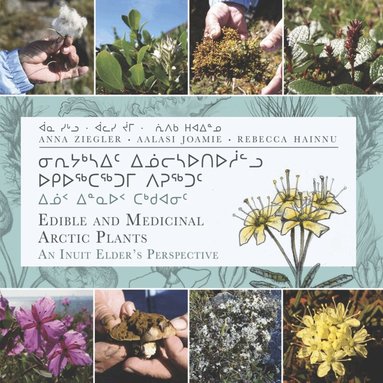 Aalasi Joamie, Rebecca Hainnu, Anna Ziegler - Edible and Medicinal Arctic Plants, Häftad