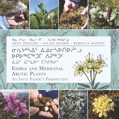 Edible and Medicinal Arctic Plants 1