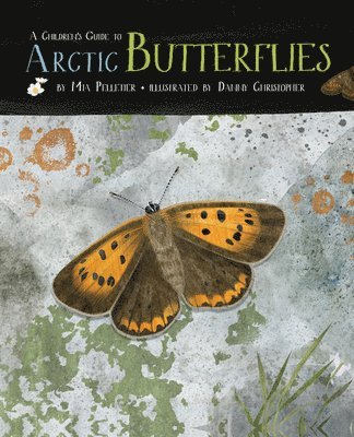 A Children's Guide to Arctic Butterflies 1