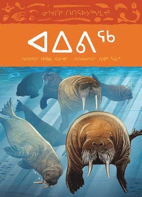 Animals Illustrated: Walrus (Inuktitut) 1