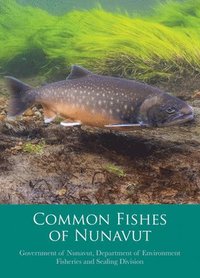 bokomslag Common Fishes of Nunavut