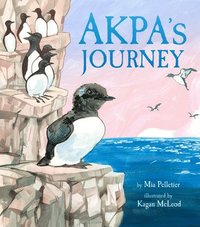 bokomslag Akpa's Journey