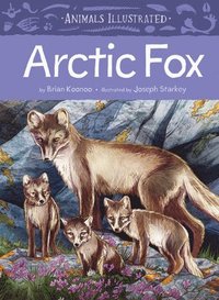 bokomslag Animals Illustrated: Arctic Fox