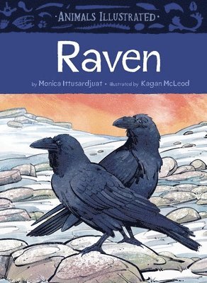 Animals Illustrated: Raven 1