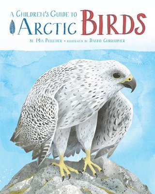 bokomslag A Children's Guide to Arctic Birds