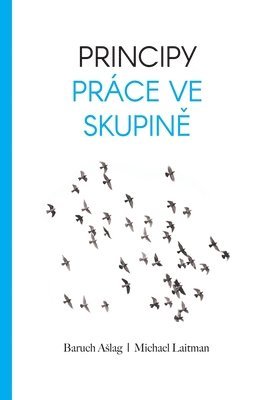 Baruch Rabash Ashlag, Rabash Ashlag, Baruch - Principy Pr�ce Ve Skupině, Häftad
