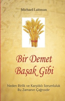 bokomslag Bir Demet Ba&#351;ak Gibi