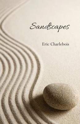 bokomslag Sandscapes