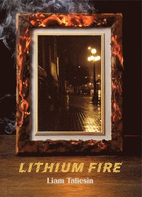 bokomslag Lithium Fire