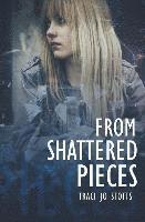 From Shattered Pieces 1