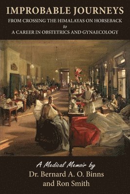 Bernard A O Binns, Ron Smith, Bernard A. O. Binns, Bernard A.O., Binns, Ron, Smith - Improbable Journeys, Häftad