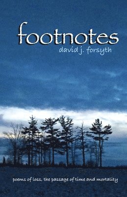 David J Forsyth - Footnotes, Häftad. Tillgänglighet: Lägg i varukorg
