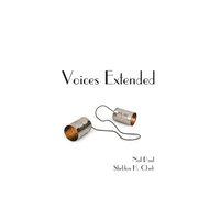 bokomslag Voices Extended