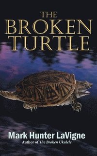 bokomslag The Broken Turtle