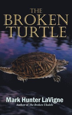 The Broken Turtle 1