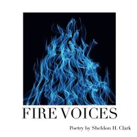 bokomslag Fire Voices
