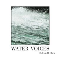 bokomslag Water Voices