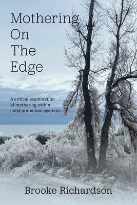 bokomslag Mothering on the Edge: A Critical Examination of Mothering Within Child Protection Systems