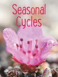 bokomslag Seasonal Cycles