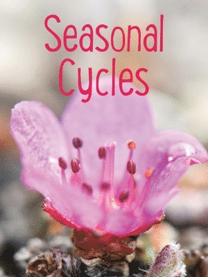 Seasonal Cycles 1