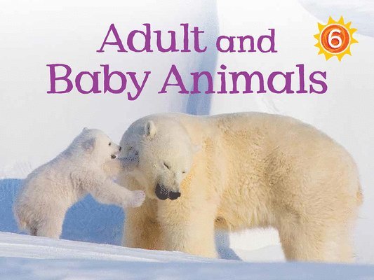 Adult and Baby Animals 1