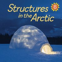 bokomslag Structures in the Arctic