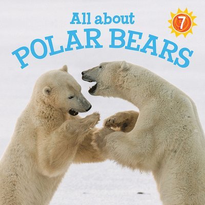 All about Polar Bears 1