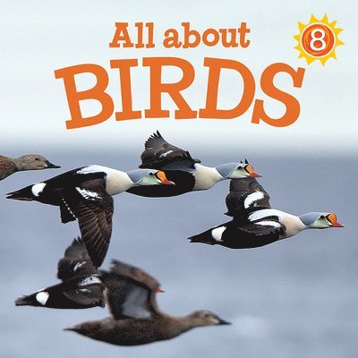 All about Birds 1