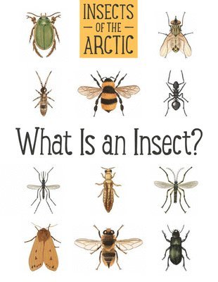 Insects of the Arctic: What Is an Insect? 1