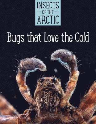 bokomslag Insects of the Arctic: Bugs that Love the Cold