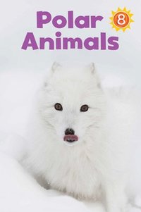 bokomslag Polar Animals