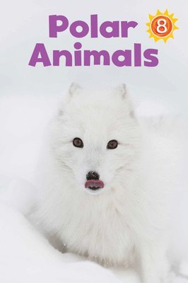 Polar Animals 1