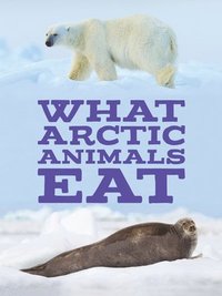bokomslag What Arctic Animals Eat