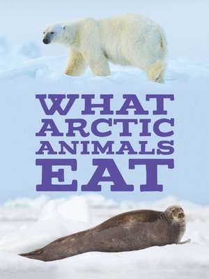 What Arctic Animals Eat 1