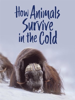 How Animals Survive in the Cold 1