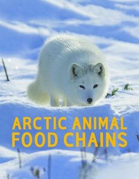 bokomslag Arctic Animal Food Chains
