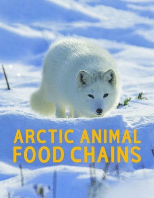 Arctic Animal Food Chains 1