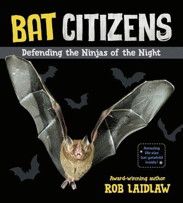 Rob Laidlaw - Bat Citizens, Inbunden. Tillgänglighet: Tillfälligt slut