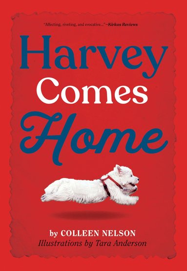 bokomslag Harvey Comes Home