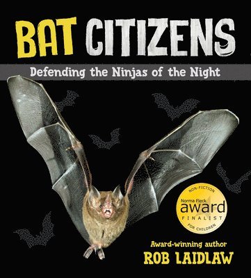 Bat Citizens 1