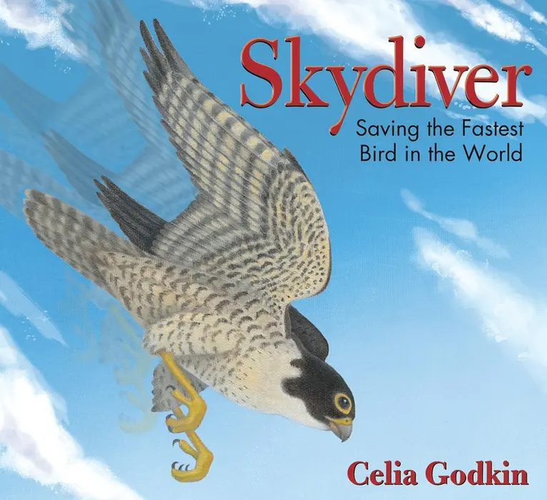 Celia Godkin - Skydiver, Häftad. Tillgänglighet: Lägg i varukorg
